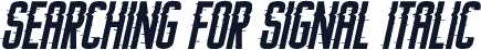 Searching For Signal Italic