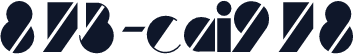 873-CAI978