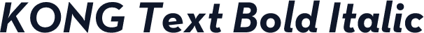 KONG Text Bold Italic