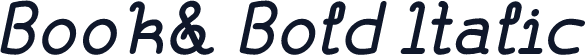 Book& Bold Italic