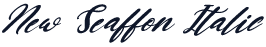 New Seaffon Italic