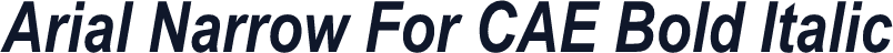 Arial Narrow For CAE Bold Italic