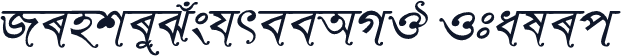RinkiySushreeAMJ Italic