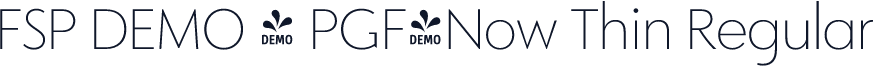 FSP DEMO - PGF-Now Thin Regular