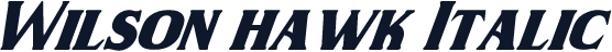 Wilson hawk Italic