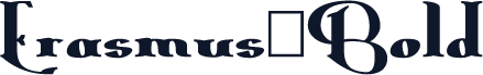 Erasmus-Bold