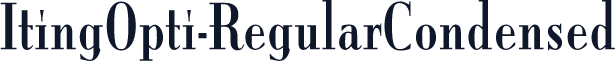 ItingOpti-RegularCondensed