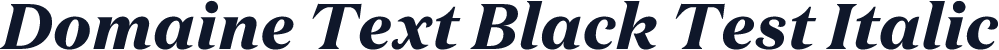 Domaine Text Black Test Italic