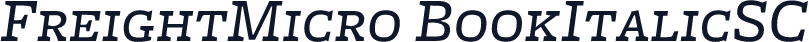 FreightMicro BookItalicSC