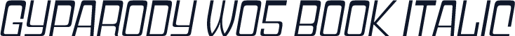 Gyparody W05 Book Italic