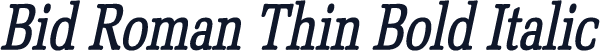 Bid Roman Thin Bold Italic