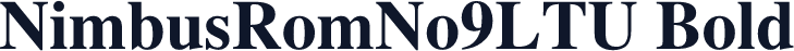 NimbusRomNo9LTU Bold