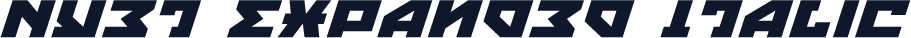 Nyet Expanded Italic