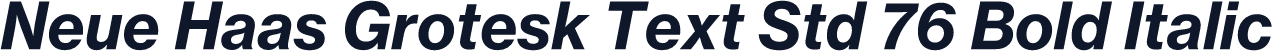 Neue Haas Grotesk Text Std 76 Bold Italic