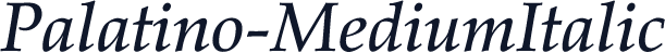 Palatino-MediumItalic