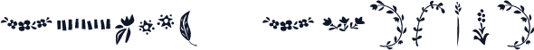 Darcy Designs