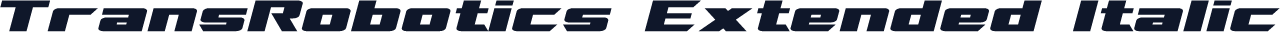 TransRobotics Extended Italic