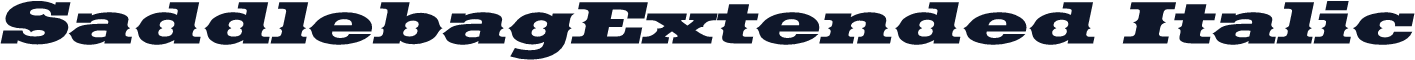SaddlebagExtended Italic