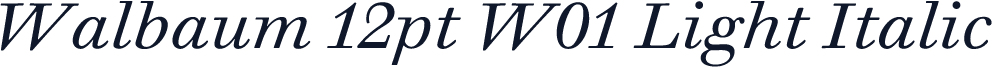 Walbaum 12pt W01 Light Italic