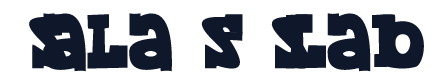 salas-slab