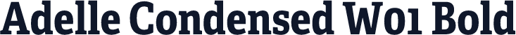 Adelle Condensed W01 Bold