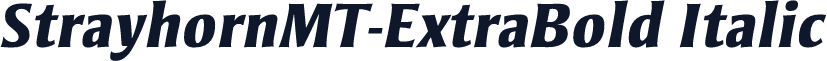 StrayhornMT-ExtraBold Italic