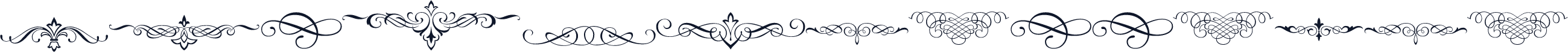 NatVignetteOne