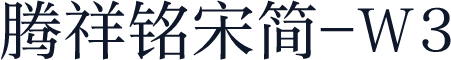腾祥铭宋简-W3
