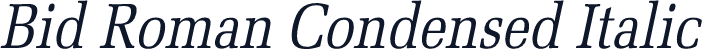Bid Roman Condensed Italic