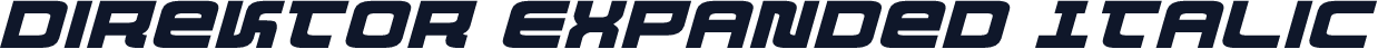 Direktor Expanded Italic