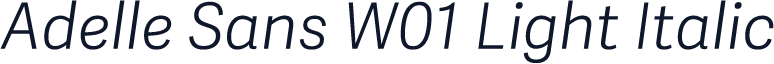 Adelle Sans W01 Light Italic