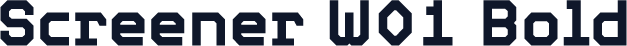 Screener W01 Bold