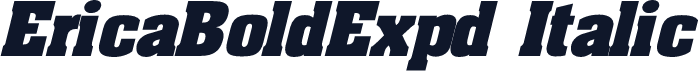 EricaBoldExpd Italic