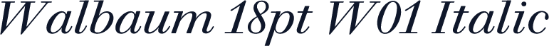 Walbaum 18pt W01 Italic