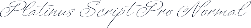 Platinus Script Pro Normal