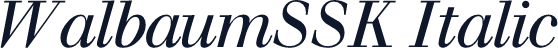 WalbaumSSK Italic