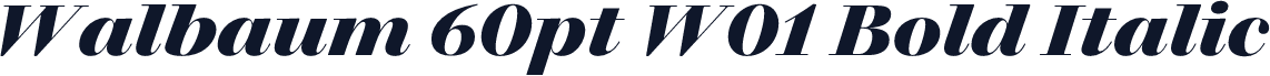 Walbaum 60pt W01 Bold Italic