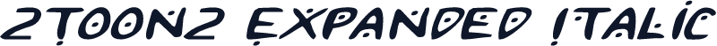 2Toon2 Expanded Italic