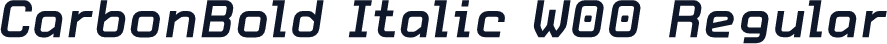 CarbonBold Italic W00 Regular