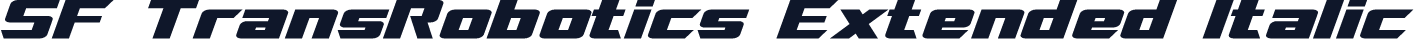 SF TransRobotics Extended Italic