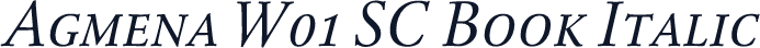 Agmena W01 SC Book Italic