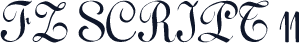 FZ SCRIPT 11