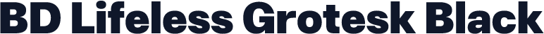 BD Lifeless Grotesk Black
