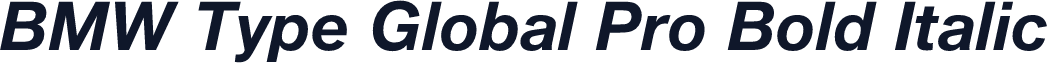 BMW Type Global Pro Bold Italic