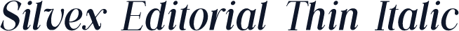 Silvex Editorial Thin Italic