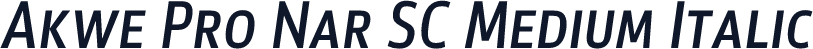 Akwe Pro Nar SC Medium Italic