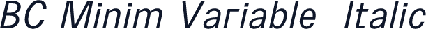 BC Minim Variable  Italic