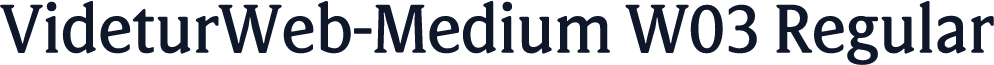 VideturWeb-Medium W03 Regular