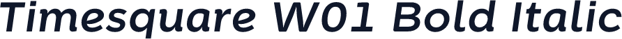 Timesquare W01 Bold Italic