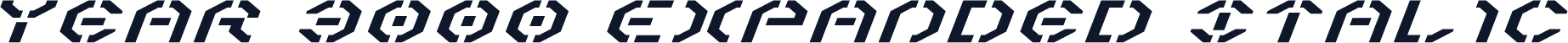 Year 3000 Expanded Italic